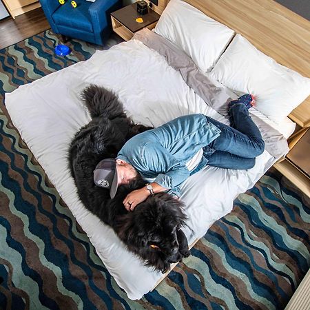 Accent Inns Kamloops Esterno foto
