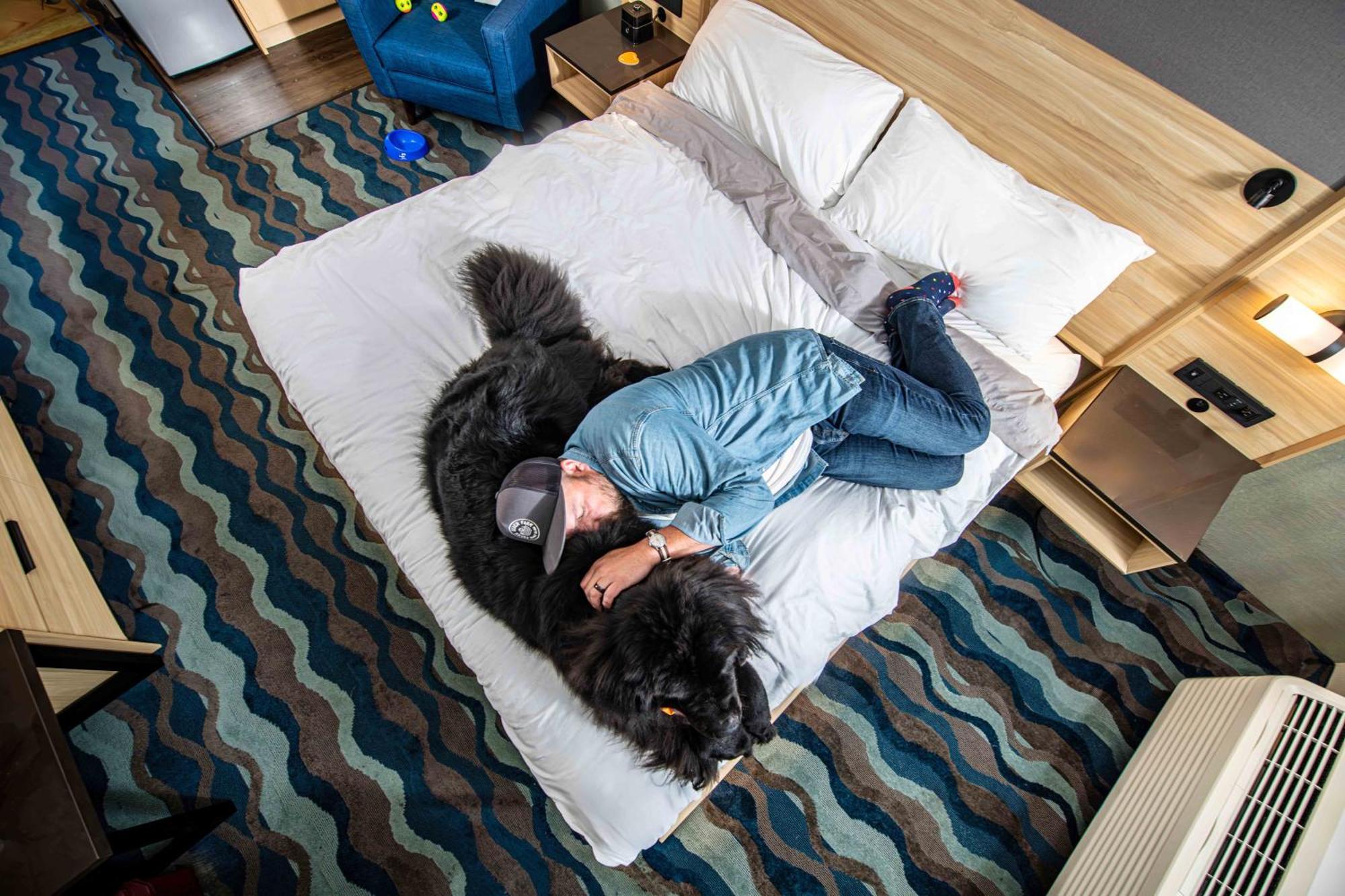 Accent Inns Kamloops Esterno foto